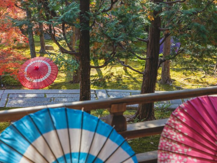 Parque florestal de cultura e lazer de Mylcinek